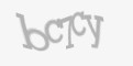 Защитный код