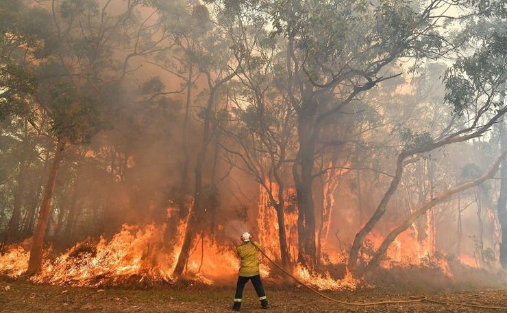 Исследование показывает, что лесные пожары сожгли пятую часть леса Австралии