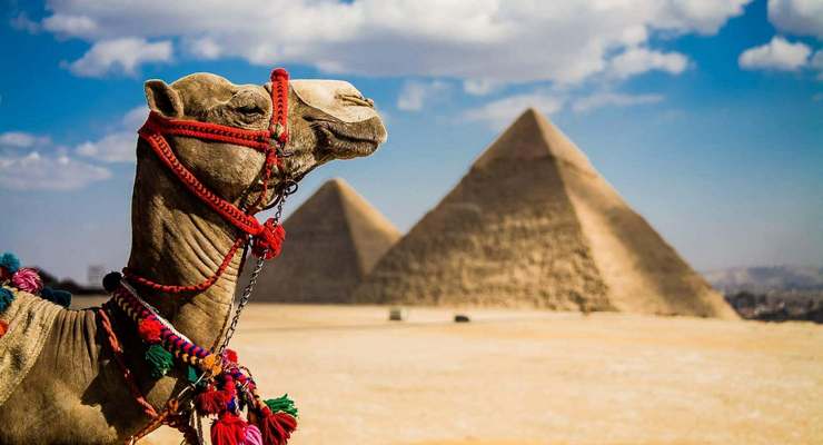Доходы от туризма в Египте вернулись к доковидному уровню